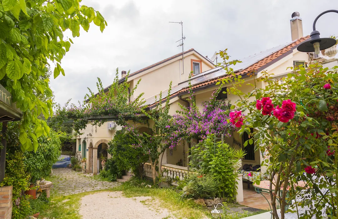 Agriturismo il Quadrifoglio-1